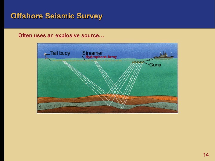 Oil and Gas Exploration - Offshore Seismic